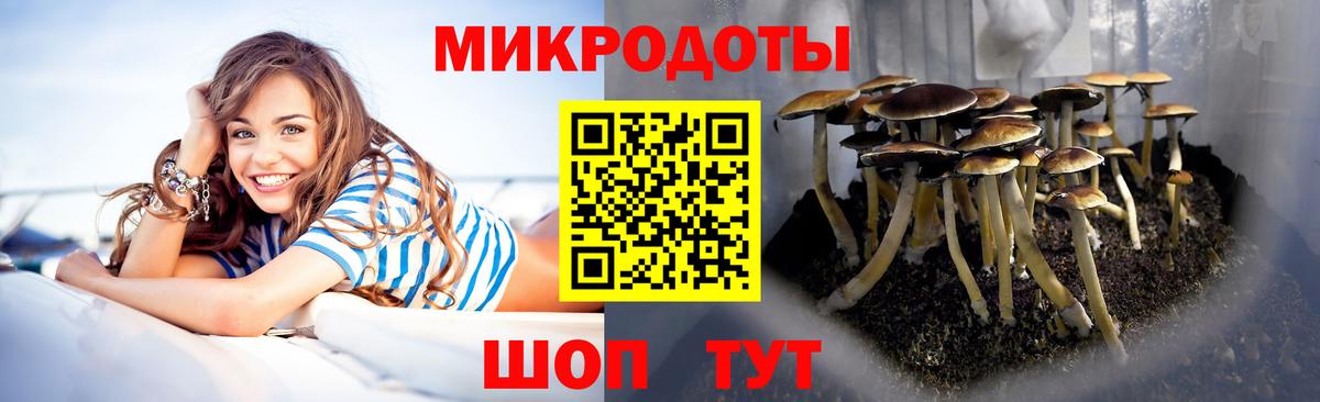 Альметьевск  Галлюциногенные грибы Magic Shrooms  Вход с VPN 